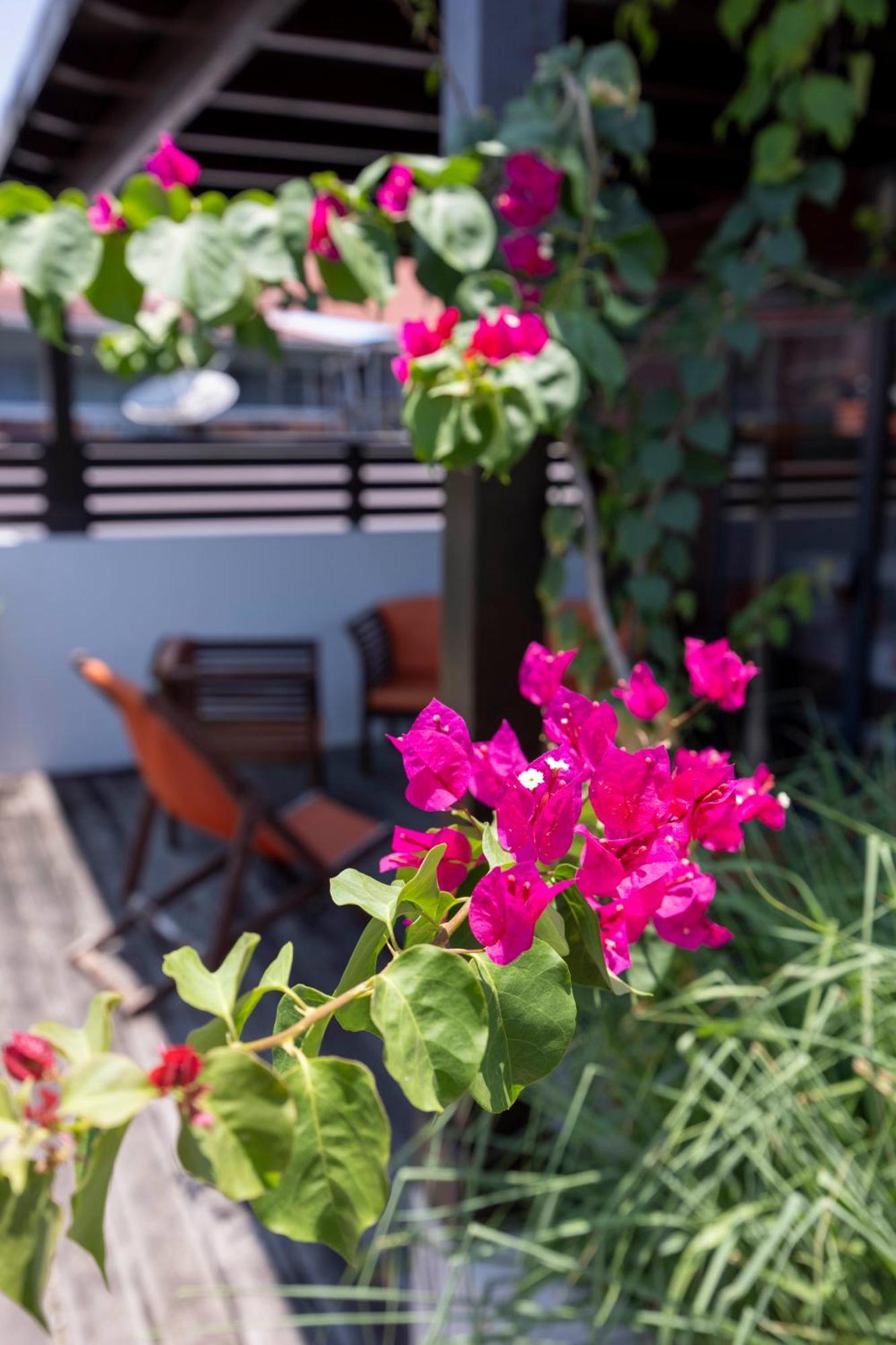 Hotel Ker Alberte Cayenne Dış mekan fotoğraf